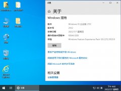 技术员 Windows10 LTSC X86 安装7月版