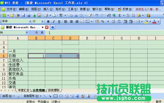 WPS表格技巧：如何打造个性化记账本