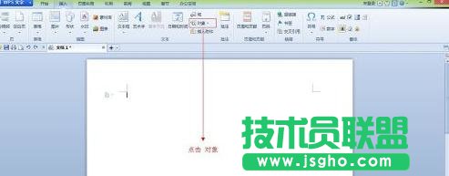 WPS文字怎样编辑公式并显示出来