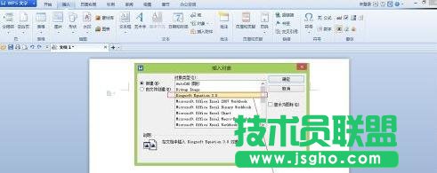 WPS文字怎样编辑公式并显示出来