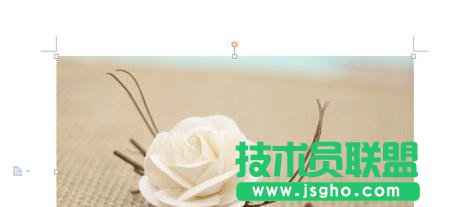 wps要怎样调整图片大小