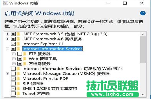 win10系统如何开启iis