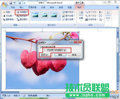 插入图片