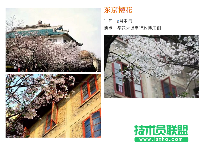 2017武大樱花门票预约地址是多少？武大樱花预约时间是什么时候