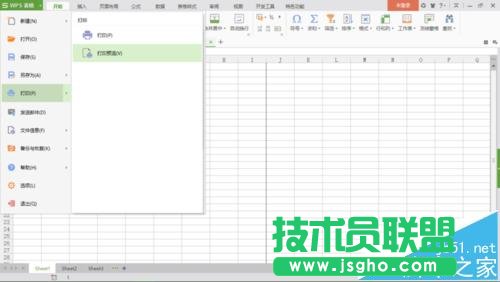 wps多个工作表如何打印预览整个工作簿全部工资表