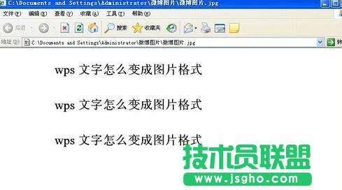 wps文字如何保存成图片 wps文字保存成图片的方法