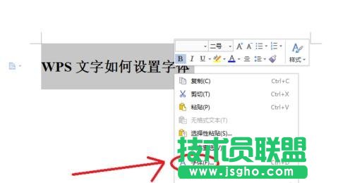 wps文字中字体怎么设置