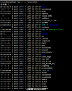 Linux查看进程运行的完整路径