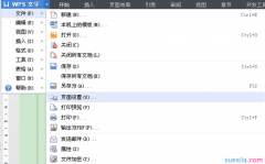wps怎样把文字横过来
