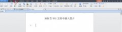WPS文字怎么插入和设置图片