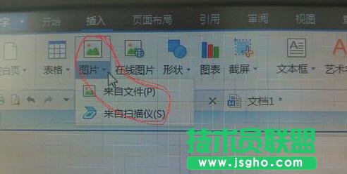 WPS文字怎么插入和设置图片