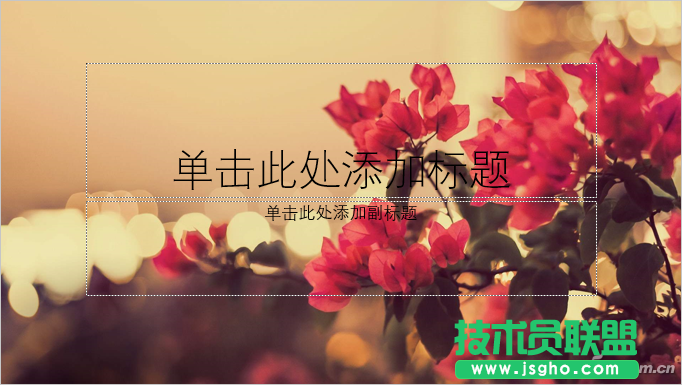 办公头条112103