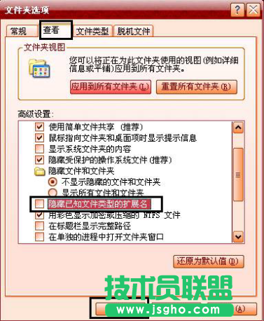 xp系统文件类型