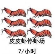 皮皮虾停车场表情包大全