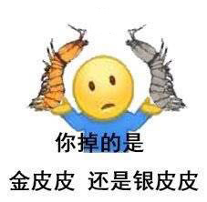 皮皮虾停车场