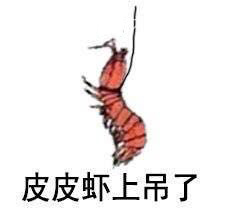 皮皮虾停车场