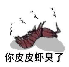 皮皮虾停车场