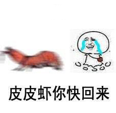 皮皮虾停车场