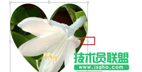 ppt怎么切割图片
