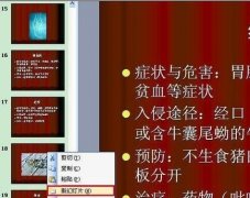 ppt结束语怎么弄