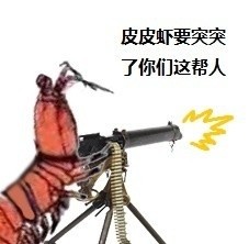 皮皮虾我们走