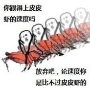 皮皮虾我们走什么意思？