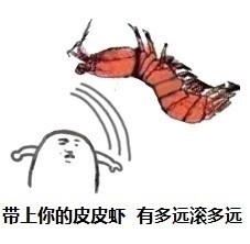 皮皮虾我们走