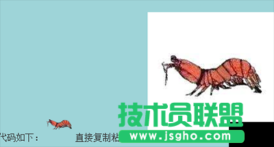 皮皮虾表情包