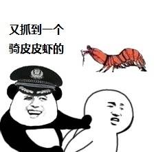 皮皮虾表情包