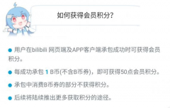 B站购买的大会员能退款吗