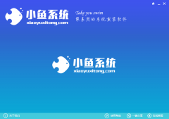 XP系统小鱼重装系统详细教程