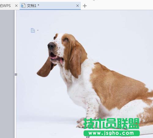 wps如何让插入的图片可以随意移动