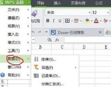 wps如何插入数据源