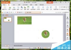 WPS中的图片怎么改变形状?