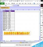 Excel中自动求和不正确并显示为0怎么办？