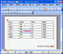 Word文档怎么添加和删除某行和某列