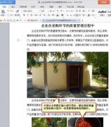 word文档中的图片怎么获得原图?