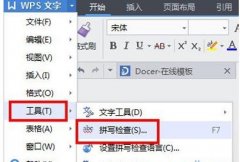 wps文字拼写检查功能如何使用