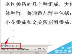word中怎么插入gif动画