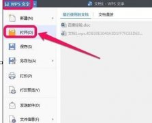 wps文字中如何查看文档字数