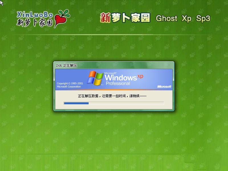 如何在萝卜家园winxp sp3快速版系统下进行重装系统？(3)