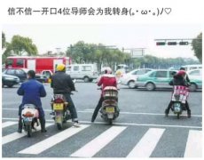 LOL囧图第67期：你我物种不同谈何信任