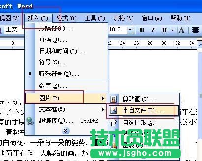 word文字环绕图片设置方法