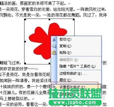 word文字环绕图片设置方法