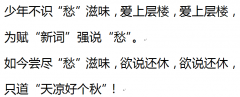 WPS文字怎么把雅黑直引号改成宋体双引号