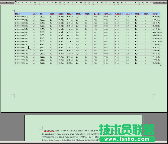 WPS文字用分节符来特殊排版教程