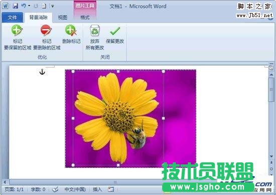 背景消除