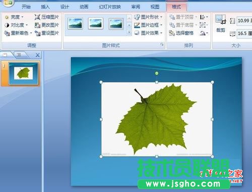 两步去掉ppt中插入图片的背景色