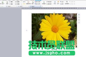 wps如何设置图片置于文字下方