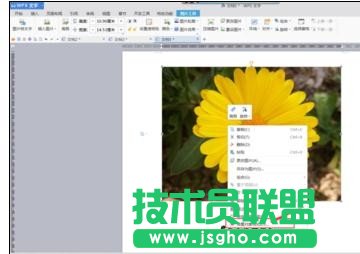 wps如何设置图片置于文字下方